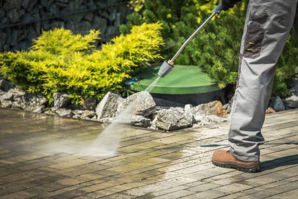Best Boat and Dock Cleaning  in Friendly, MD