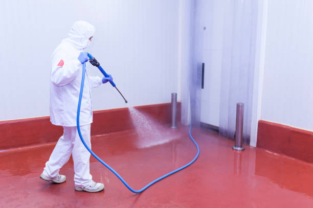 Best Post-Construction Pressure Washing  in Friendly, MD